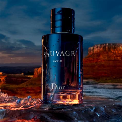 sauvage von dior|dior sauvage website.